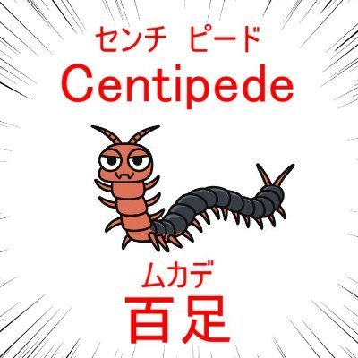 私の好きなもの友の会さんのプロフィール画像
