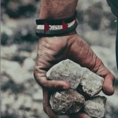 kjoraid's profile picture. Entrepreneur, starting again from scratch