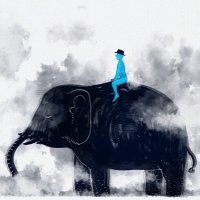 Raymond Nedeljković (@raynf) 's Twitter Profile