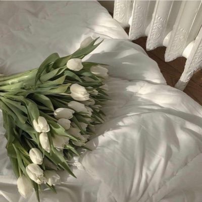 نحن متواضعون بدون ضعف وأقوياء بلا غرور 🤝🌹