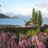 marine_078