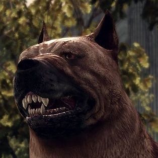 Xolanus's profile picture. I don't like giving out personal details, but I am over the age of 18.