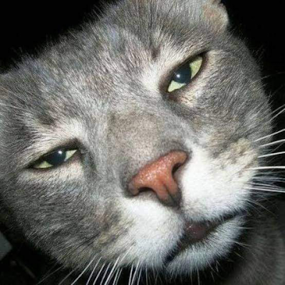 Dartoyo66's profile picture. Done

YBMTU4SB