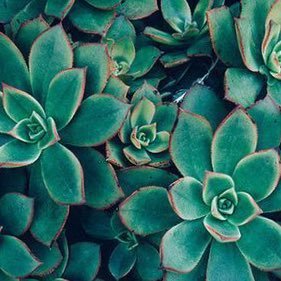 SylviaH57348's profile picture. 