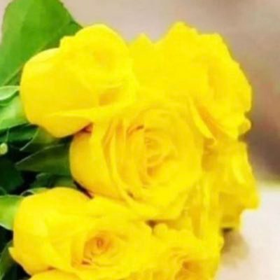 alwftabe's profile picture. رحم الله ارواحاًً رحلت