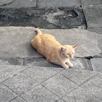 ᴍʏ ʟᴏᴠᴇ ɪs ʙᴀᴇᴋʜʏᴜɴ Profile