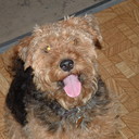 Emily Warnick - @EmilyWarnick - Twitter