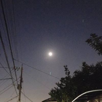 Qe795V97fPObgwr's profile picture. 