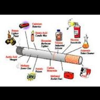 iCigarettes's profile picture. i kill plenty of niggas every year. yet people still smoke me and im legal. marijuana aint neva killed nobody.