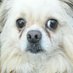 ARVALITO (@arvalito2) Twitter profile photo ARVALITO (@arvalito2) Twitter profile photo