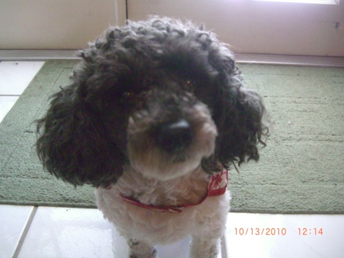 amnelson2's profile picture. 