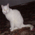 Internet Marketer (inc. SEO and copywriting) who helps you achieve what you want from life.