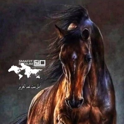 ماجستير نفسي - وسيطة عقارية معتمدة مرخصة من الهيئةالعامةللعقار (2200000703)ضمن فريق عمل المنصه الذكيه للعقار https://t.co/eRCrpjrE4x