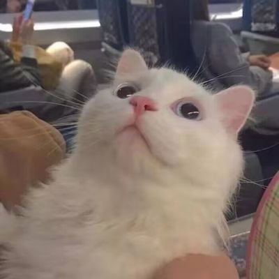 tnglnfng5's profile picture. 69岁被噶腰子单身带两娃