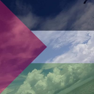 Nynaive's profile picture. 🍉🤲❤️
حَسْبُنَا اللَّهُ وَ نِعْمَ الْوَ كِيلُ