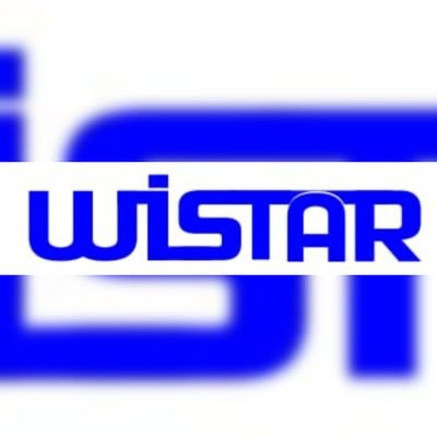 wistar119 Profile Picture