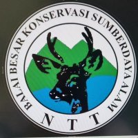 bbksda_ntt (@bbksdantt) 's Twitter Profile