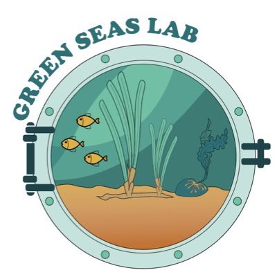 Green Seas Lab works with marine plants utilizing advanced microsensor and imaging technology. #seagrass Headed by A/Prof. Kasper Elgetti Brodersen @roskildeuni