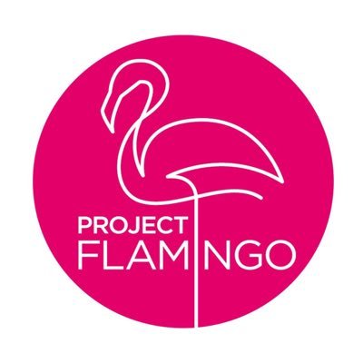 ProjFlamingo's profile picture. Ensuring timely and holistic cancer treatment to patients in the South African public health sector