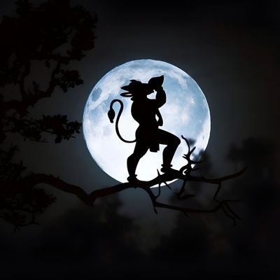 itsmecp22's profile picture. Kohlination