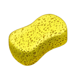 iiSpongeAlot Profile Picture