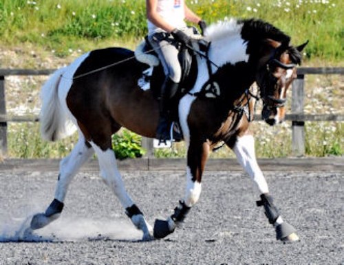 bshaw_92's profile picture. 