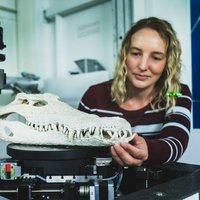 Kathleen Dollman (@katpalaeo) 's Twitter Profile