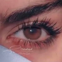 العزوه العبدليه 𓃗(@BdlyhZwh) 's Twitter Profile Photo