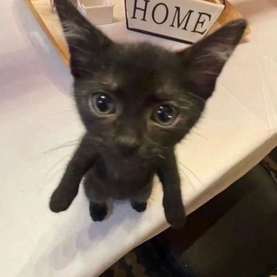 TunityThinks's profile picture. Shoutout to Whole Foods - @nottunity’s private/rant