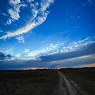 gerroen's profile picture. 