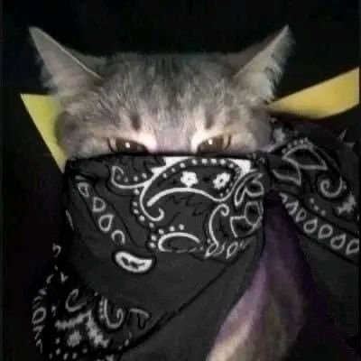 chagachuchuyawa's profile picture. 