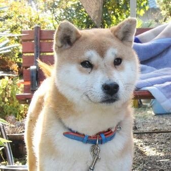 NcYYPcFea0x796u's profile picture. 