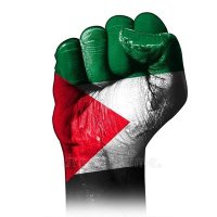 Ann Stewart 🇿🇦🇵🇸🔻(@AnnStew71348302) 's Twitter Profileg