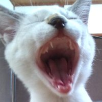 上田の積みプラ屋 (@lwjehz37j55996) 's Twitter Profile Photo