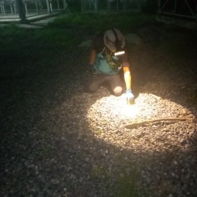 SlungDwng's profile picture. 