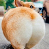 p (@k36681225_p) 's Twitter Profile