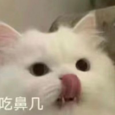 INFP老二次元，xp杂，无人在意的发疯地。