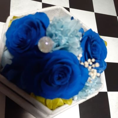 ex the Reveude  Zeke   Deux(Lux-ルクス-)Harukaさん大好き💙
🦋Scarlet  Valse🦋 (揚羽蝶)
youghal❤You.さんが大好き
ex INFi2TY  たすけさんが大好き💕ホンモノ💙怜さん💙覚醒アリア💎
mofusand  えびにゃん.サメにゃん推し