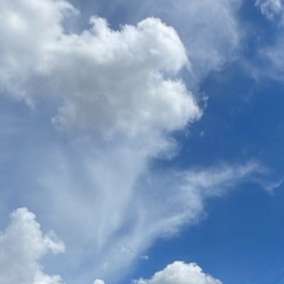 Z4QAtPLe1z91263's profile picture. 養分打ちマスター