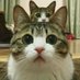sssskkkkrrrttt (@eddo0164) Twitter profile photo sssskkkkrrrttt (@eddo0164) Twitter profile photo