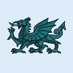 Cambrian Chronicles 🏴 (@cambrianyt) Twitter profile photo Cambrian Chronicles 🏴 (@cambrianyt) Twitter profile photo