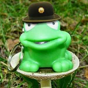 sillygreenfrog's profile picture. I'z a silly green frog! Gonna tweet and post pics for no apparunt reezun. I live wif @Tipsy_Kat, @Fred_Kat, @KittyKitty_KKat #wlf :)