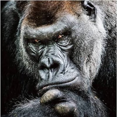 3_maze's profile picture. いいちことハイライト。職業は連勤術師 休みは大体飲んでます。それか彫りに行ってます。こっそり素敵なタトゥーを覗くのが趣味です。