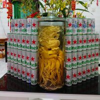 Nguyễn Hoàng Giang (@hgiangthkl) 's Twitter Profile