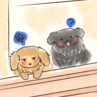いぬ💛🩵🩷 (@aquarius1140) 's Twitter Profile Photo いぬ💛🩵🩷 (@aquarius1140) 's Twitter Profile Photo