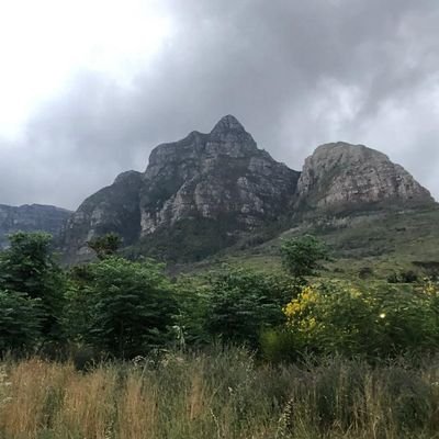 🇿🇦