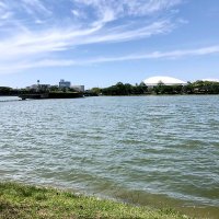 Koichiro (@kotaki5163) 's Twitter Profile