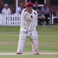 David Weaver 🦁 (@davidweaver134) 's Twitter Profile