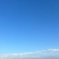 るいです オールマイティ 限定モデル ミズノ 安全靴 スニーカー ALMIGHTY