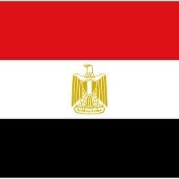 الانتماء  الانتماء  الانتماء  ....  علم مصر لا نحمل سواه   ولا يستبدل باي علم   علموا أولادكم  الانتماء لأرض الوطن  وعلم ارض الوطن  لان دمهم مصري مصري مصري ولن